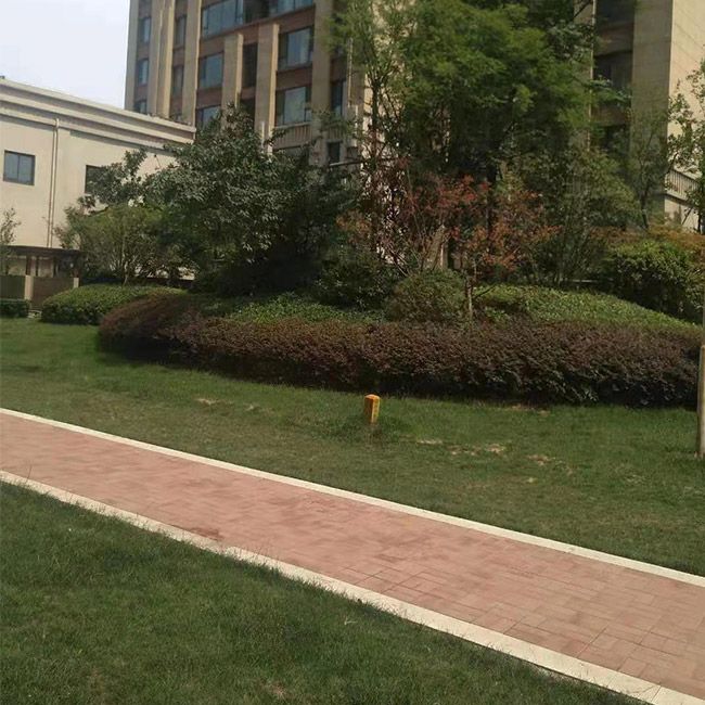 廠區綠化施工設計及養護