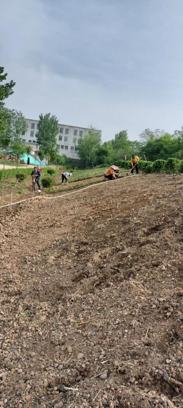 廠區綠化施工設計及養護