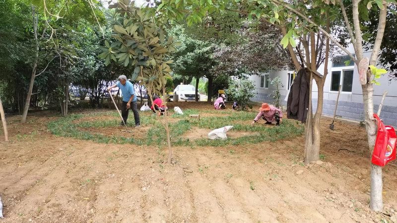 廠區草坪綠化展示